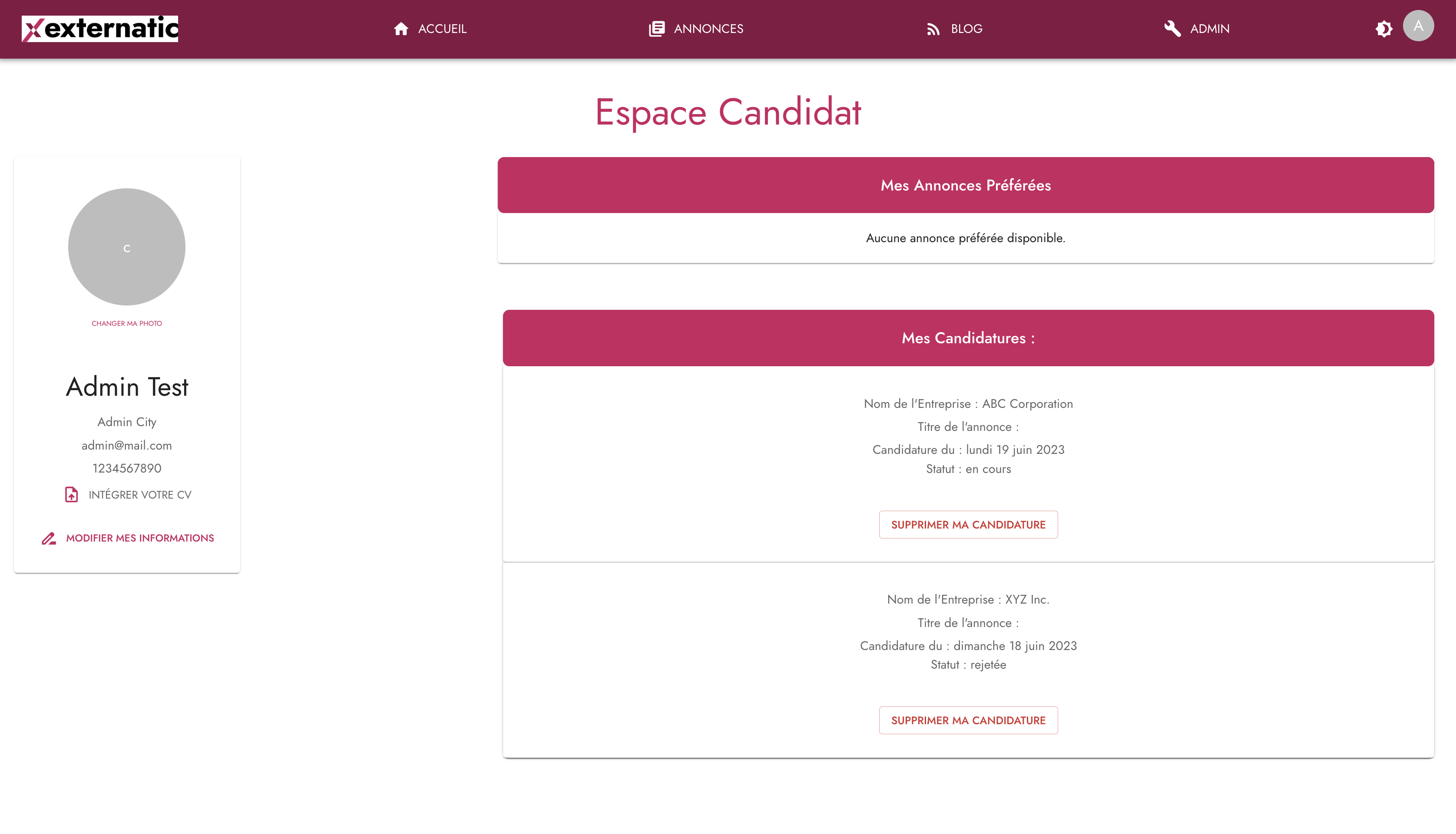 Externatic preview 7